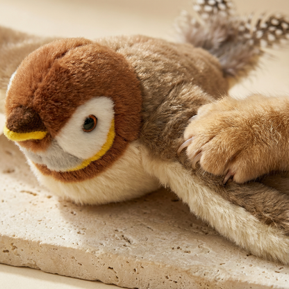 Interactive Bird Cat Toy