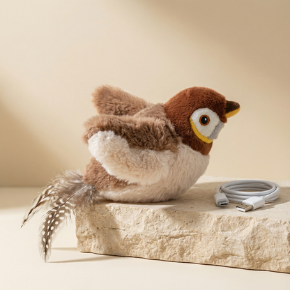 Interactive Bird Cat Toy