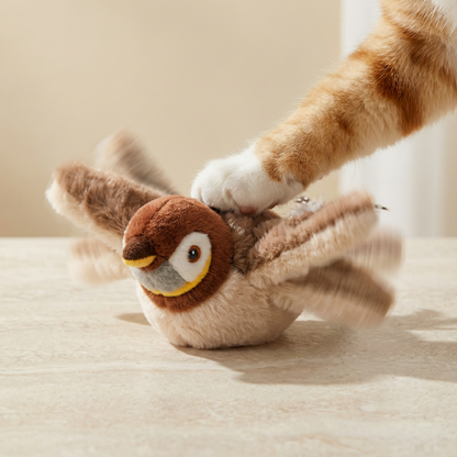 Interactive Bird Cat Toy