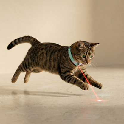 Laser Cat Collar
