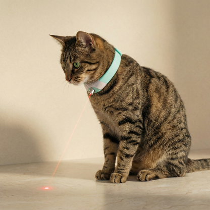 Laser Cat Collar