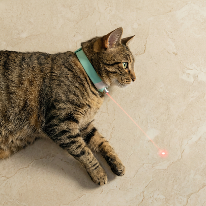 Laser Cat Collar