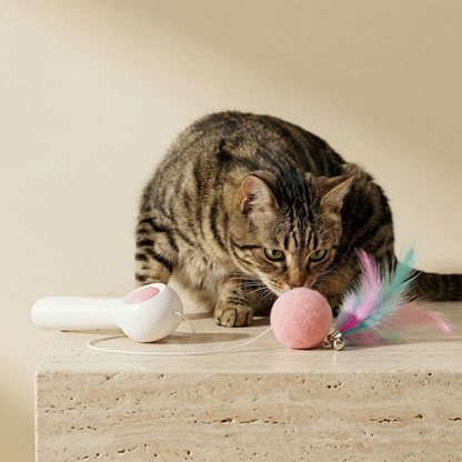 Cat Retractable Stick Feather Toy